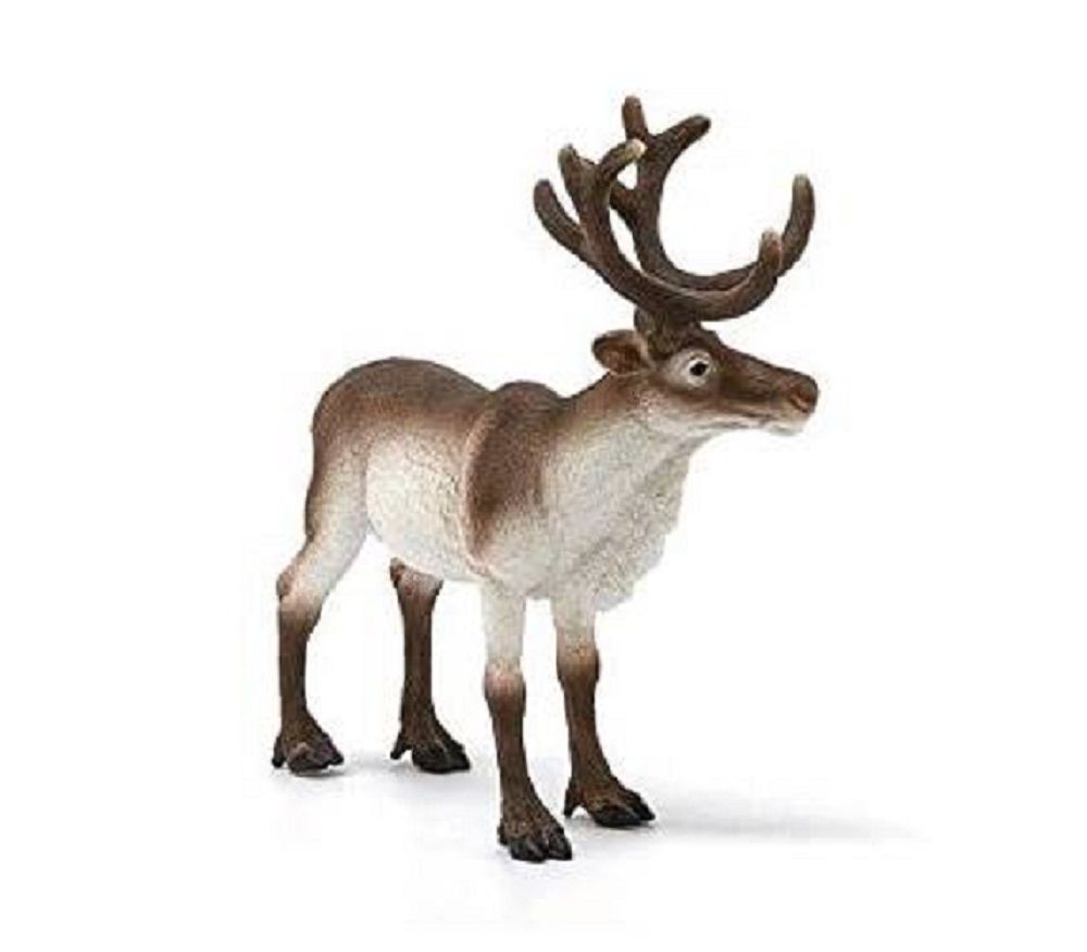 Product 662-0480 - View 5 662-0480 Product Image 5