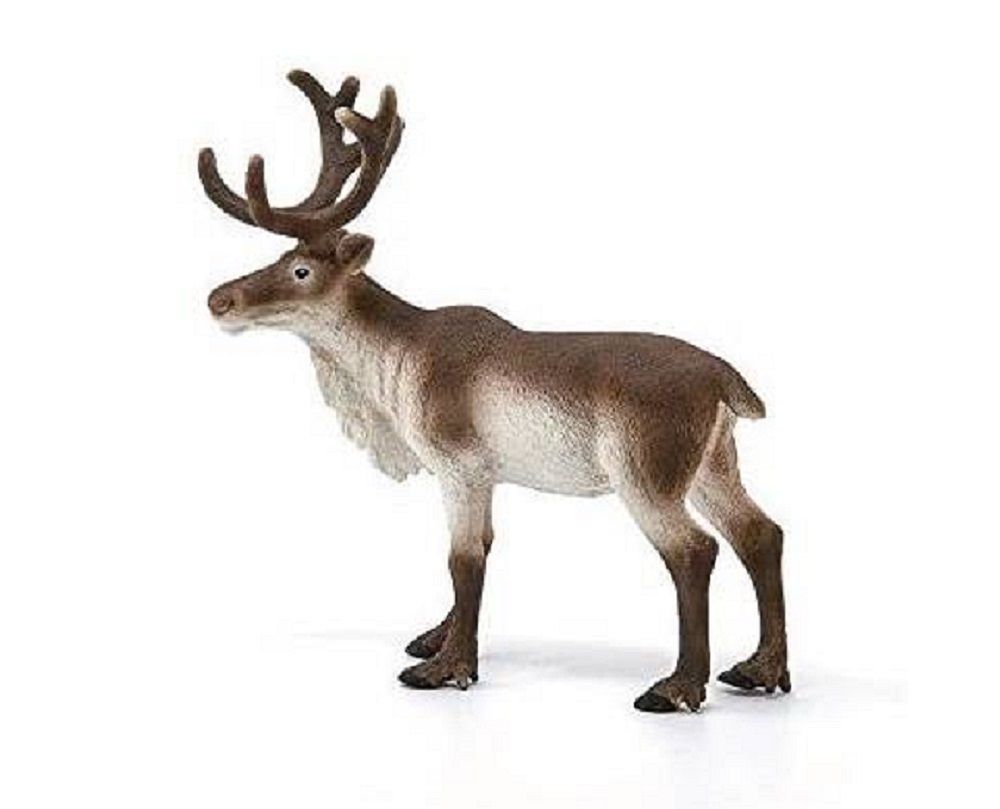 Product 662-0480 - View 6 662-0480 Product Image 6