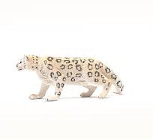 662-0481 Product Image 4