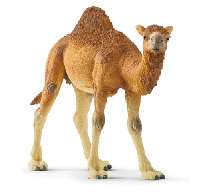 662-0484 Product Image 3