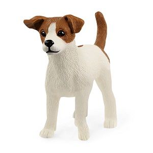 Image of Jack Russell Terrier