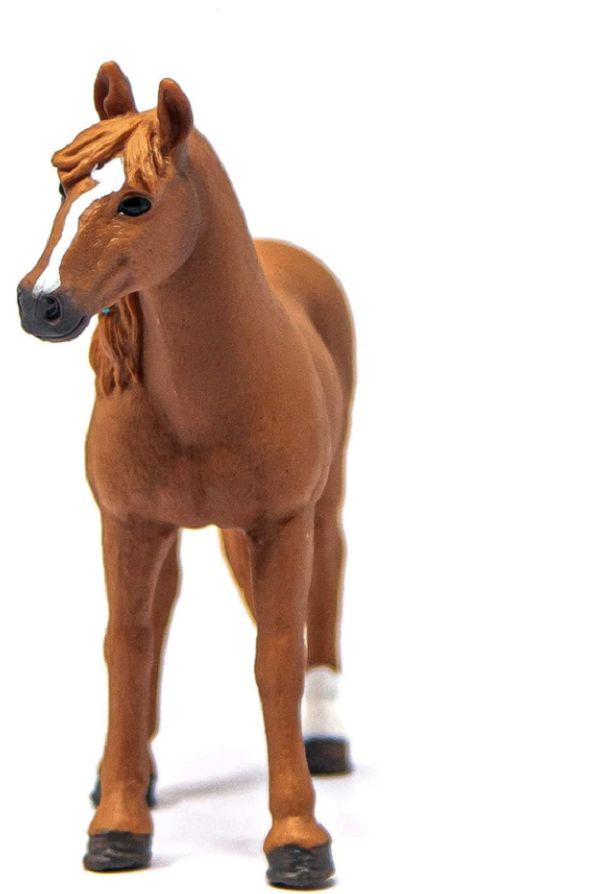 662-0495 Product Image 4