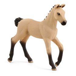 Image of Hannoverian Foal, Red Dun