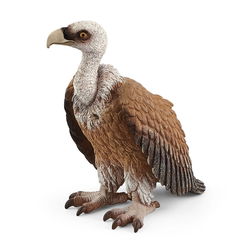Image of Vulture