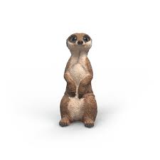 Image of Meerkat