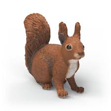 Image of Squirrel