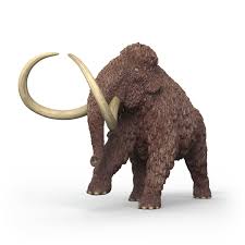 Image of Mammoth
