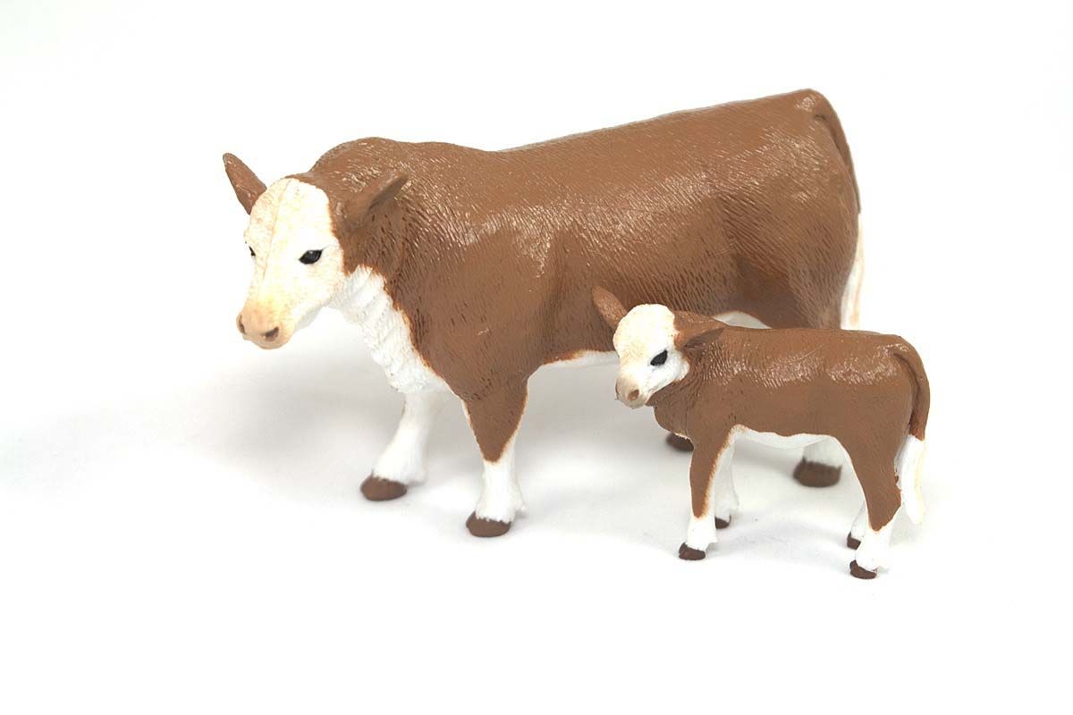 Image of Hereford Cow & Calf