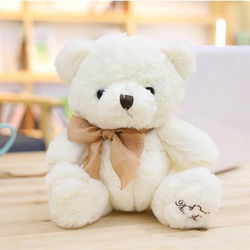 Image of 20cm Teddy Bear White