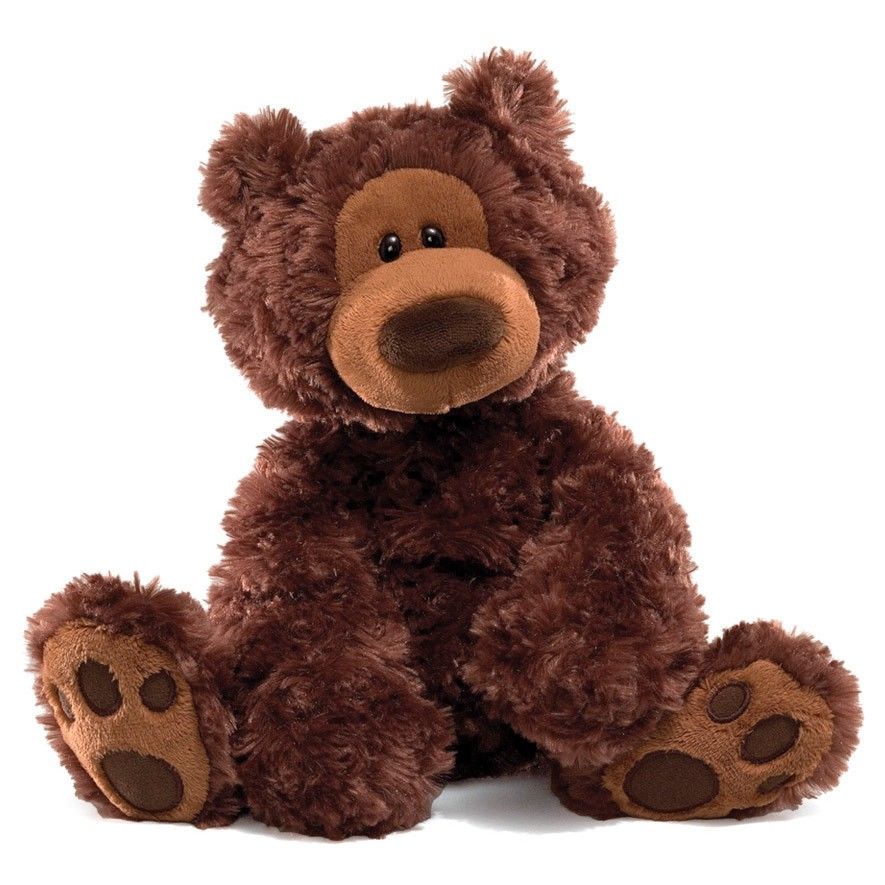 Image of Philbin Bear Plush Chocolate