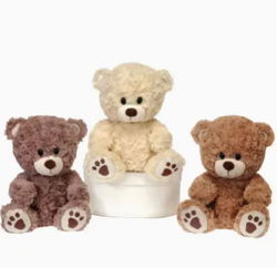 Image of 9.5in 3 Asst. Sitting Paw Print Bears