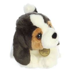 Image of 11′ Miyoni Tots Beagle Pup