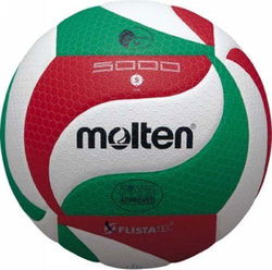 Image of Molten V5M5000 Premium Competition Volleyball  FIVB-Green
