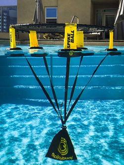Image of Spikeball Buoy